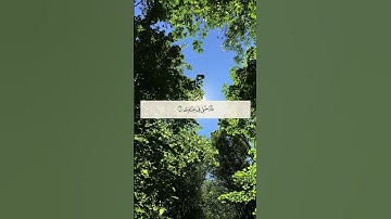 القارئ الشيخ سعيد محمد رحمه الله - من سورة الفجر