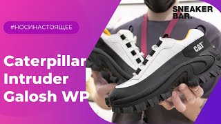 Caterpillar Intruder Galosh WP White 