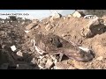 Израиль уничтожает кладбища мусульман в Газе!