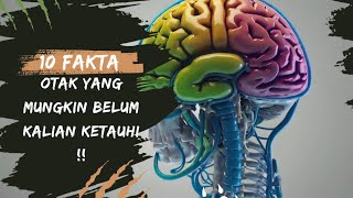 10 Fakta Mengejutkan Tentang Otak Manusia yang Jarang Diketahui!"