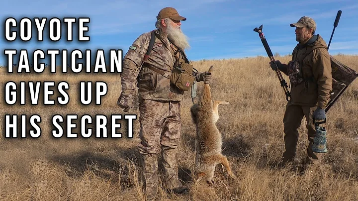 Great Coyote Locating Technique