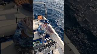 Μια μεγάλη #συναγρίδα σε δύσκολες συνθήκες / #ψάρεμα #αρχιπέλαγος #Χίος #dentex #tairubber #fishing