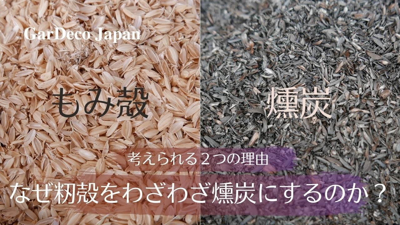 なぜ籾殻を手間をかけて燻炭にするのか 考えられる理由２つ Youtube