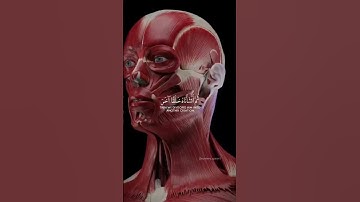 سبحان الله 🤍#الشيخ_ياسر_الدوسري #قران_كريم #تلاوة_خاشعة #تلاوة_خاشعة #قرآن #راحة_نفسية  #foryou#fyp
