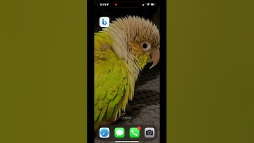 Make Game on iPhone with AI Short