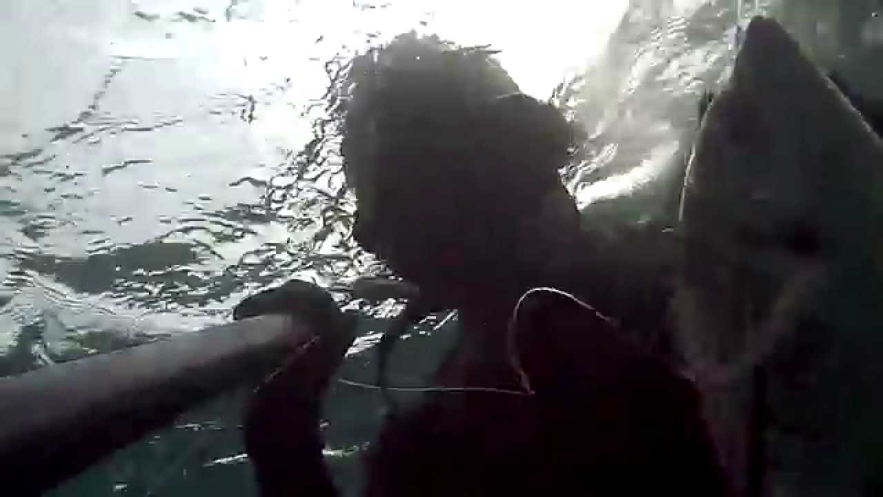 31-05-2015 Pesca in apnea: Saragotti