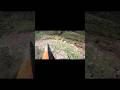 wild boar tries to escape. #wildboar #hunting #wildboarhunting