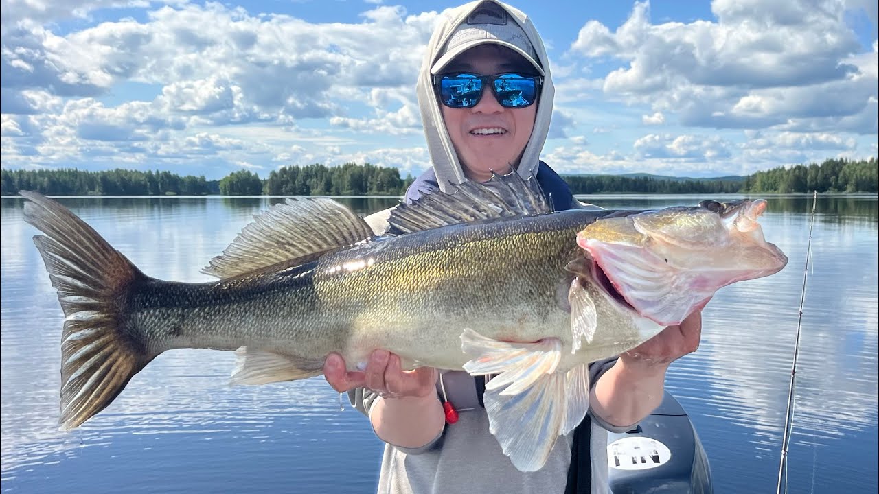 Учу сына искать трофейную рыбу. Рыбалка в Финляндии. Panoptix Livescope.