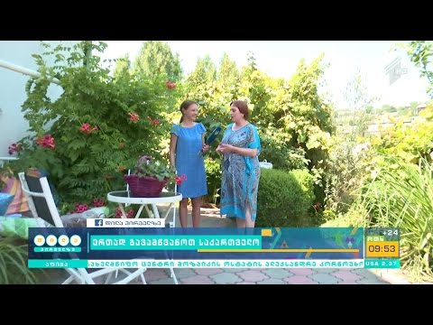 \"დილა პირველზე’’ მოყვარული მებაღის გამწვანებულ ეზოს ესტუმრა