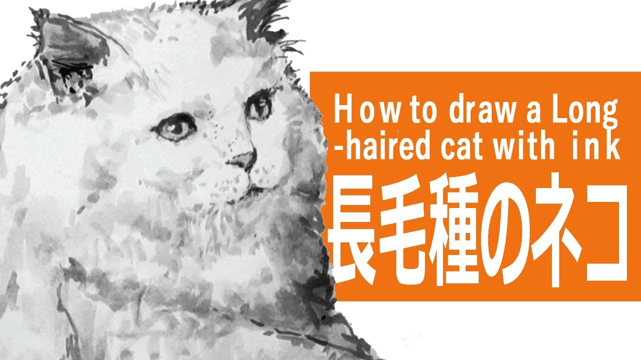 墨と筆のイラスト 描き方 制作過程 長毛種のネコ How To Draw A Long Haired Cat With Sumi Ink Youtube