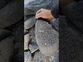 cr,gholasmr charcoal crumbling asmr satisfying asmr pure cement #crunchycrumbles