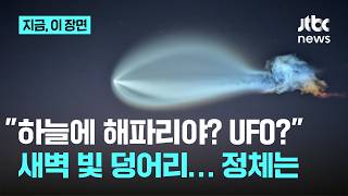 '오징어야, 해파리야?'…미국 동부 하늘에 등장한 푸른 빛 덩어리｜지금 이 장면