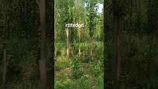 gaubxkc | bichh | gjbf| #shorts #jagatpoudel #reels