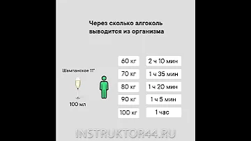 Через сколько алкоголь выводится из организма?