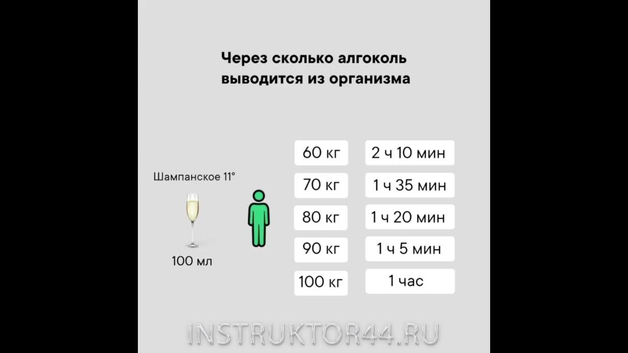 Через сколько алкоголь выводится из организма? - YouTube