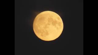 Chris Films the Full Moon Over Bempton Bridlington East Yorkshire 26th June 2026
My good Youtube friend Chris couldnt resist filming this full moon back on 28th of June.
Chris filmed it from his bathroom window.
I would have filmed it too if Id seen it!
Good job Chris! Chris Films the Full Moon Over Bempton Bridlington East Yorkshire 26th June 2026