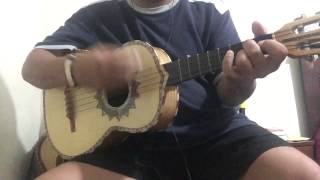 Video thumbnail of "Vihuela, SI NOS DEJAN."