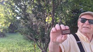 Ultimate Taste Test: Hershey's special dark, ZERO SUGAR @ Kenny Davenport 