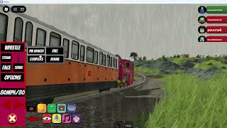 Shane Doowaelys Crash