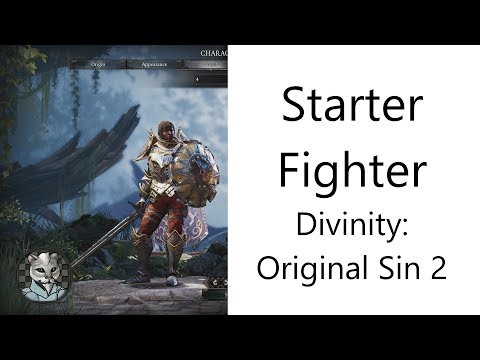 Divinity Original Sin Tank Healer Build Divinity Original Sin Tank Healer Build