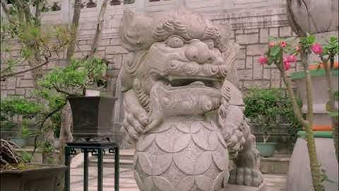 Hong Kong - The intersection of Nature and Technology | Fujifilm X-H2S Open Gate