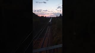 Ŝarĝotrajno kun Volkswagen-kamionetoj