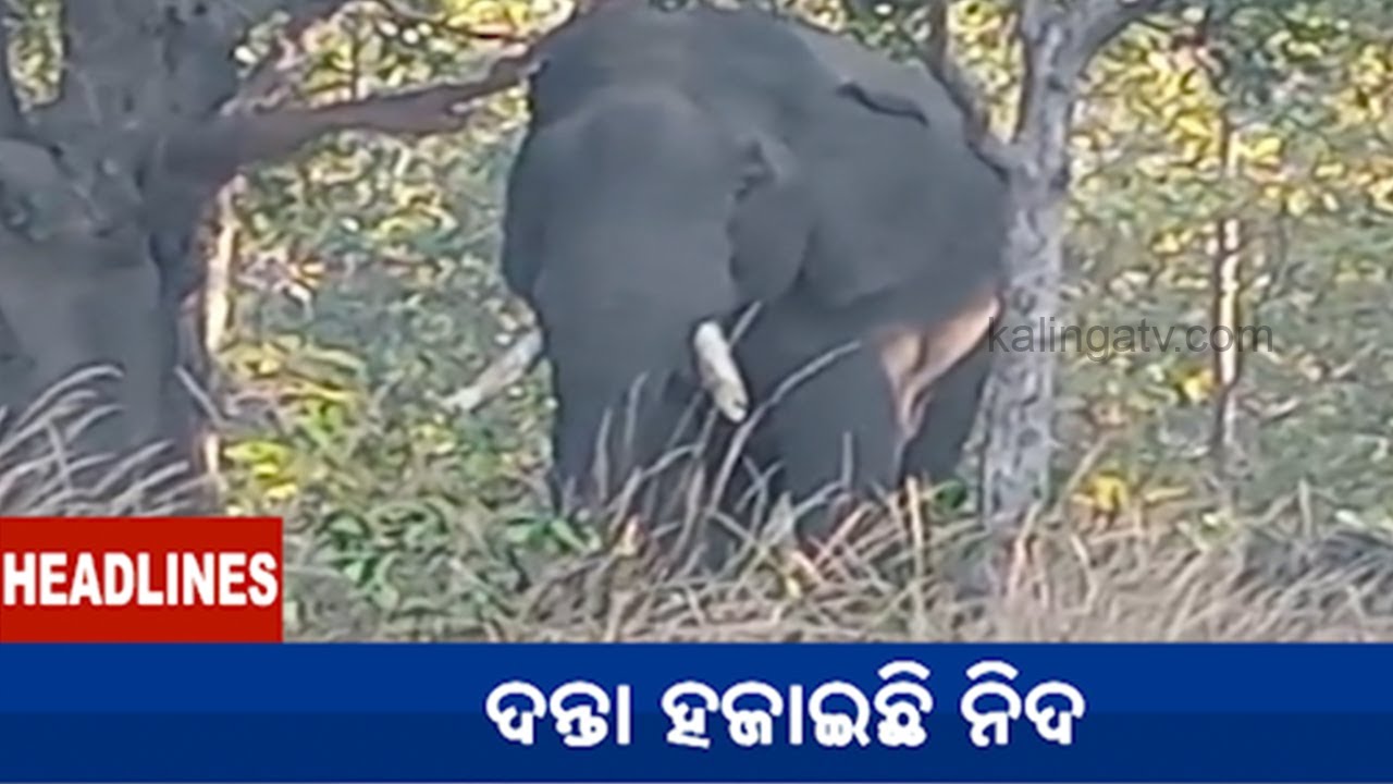 10 AM Headlines || January 19, 2026