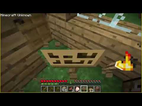 playing unknown version of minecraft