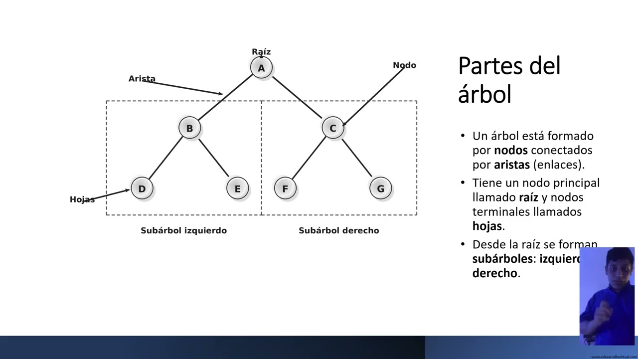 ABB Estructura de datos Tarea Final Christopher Diaz ZDEV2026