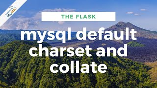 MySql Default CHARSET and COLLATION Net Worth