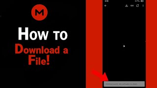 How to Download a File on Mega [NEW]