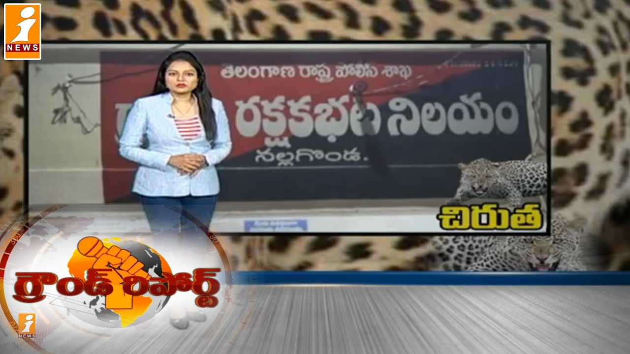 నల్గొండలో హడలెత్తిస్తున్న చిరుతలు  | Ground Report on Tigers in Nalgonda  | iNews
