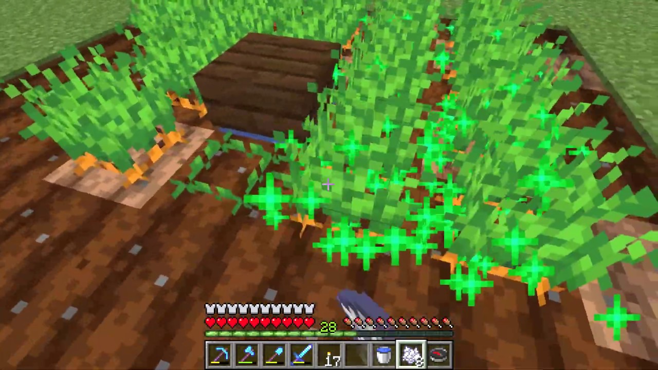 Minecraft Carrot Seeds
