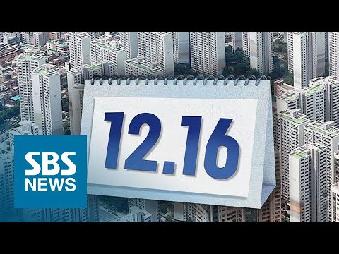12·16 약발 통하나…&amp;#39;1차 목표&amp;#39; 강남 상승세 멈췄다 / SBS