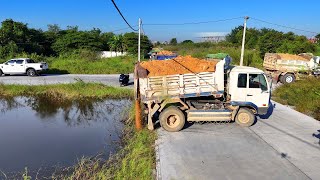 Exploration phase Full Starting Landfill Using Dump Truck 5-ton with skill Dozer Pushing Stone soil