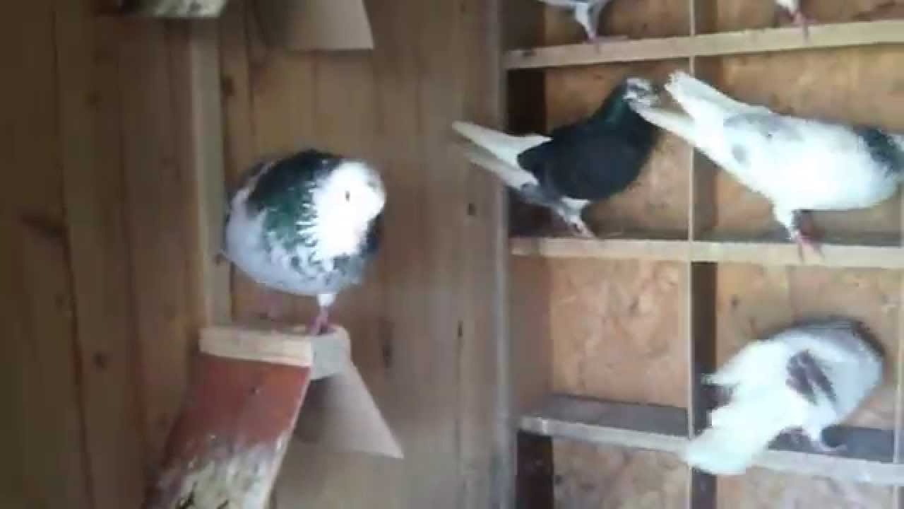 birmingham roller kit box YouTube