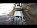 If These Strange Creatures Were Not Filmed, No One Would Believe Them