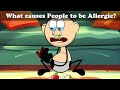 Why do some People develop Allergies? + more videos | #chumpum #kids #children #science