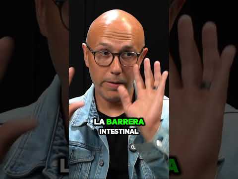 Cuánta proteína debemos