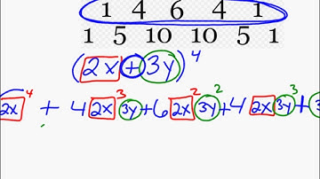 Binomial Expansion of (2x+3y)^4
