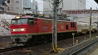 ●20230325 EF510形 通過 ＠金山