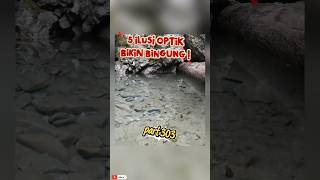 5 ilusi optik yang bikin bingung otak part 303