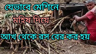 আখ থেকে গুড় তৈরি  How to make sugercane molasses