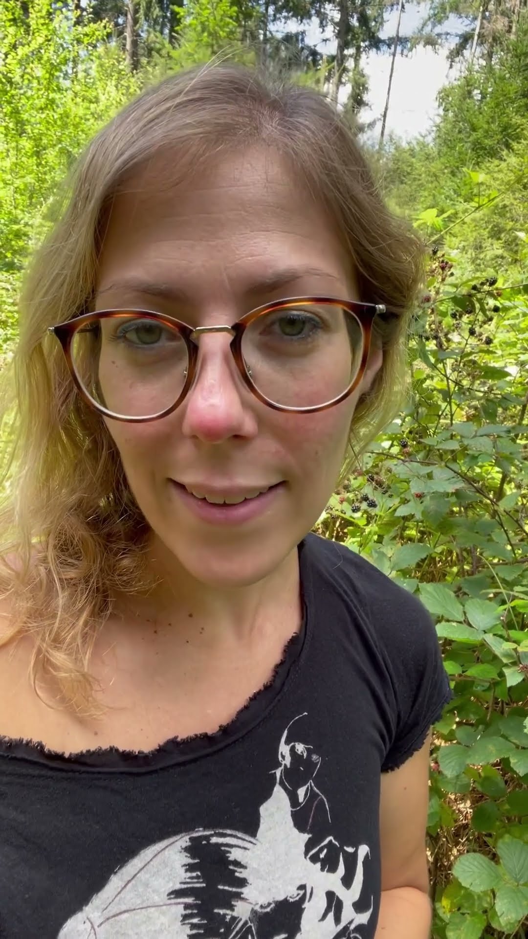 Brombeeren - das Superfood in unseren Wäldern und Gärten #beeren # ...