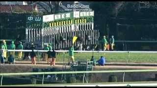 競馬 有馬記念 マツリダゴッホ 2007年 藤井康生 検索動画2 競馬 有馬記念 マツリダゴッホ 2007年 藤井康生 検索動画 2