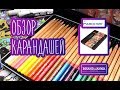 //ОБЗОР КАРАНДАШЕЙ // Marco Renoir // Марко Ренуар // Рисунки