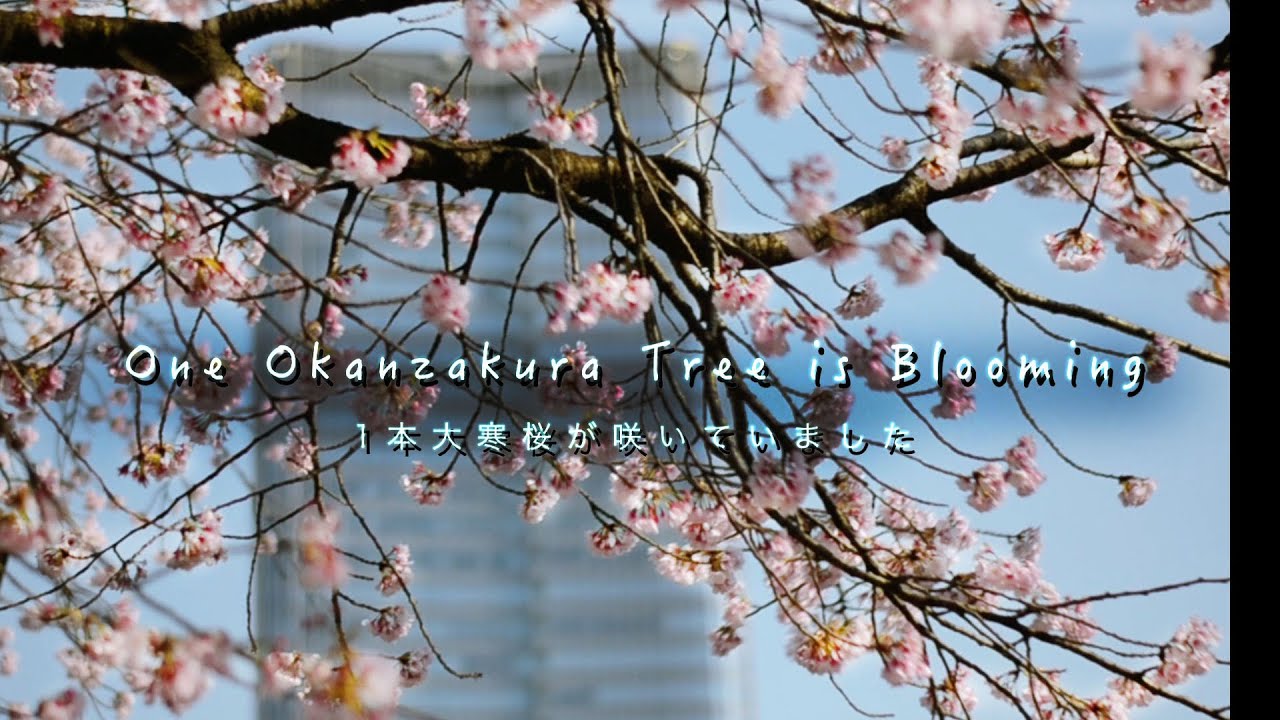 日比谷公園 緑と赤のエネルギー 】｜オリーブ♪＠横浜