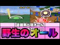 【GCソフト】カービィのエアライドの野生のオール【検証】