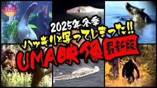 【映像】ハッキリと写ってしまった‼UMA映像 最新版