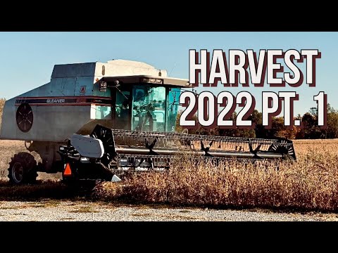 Harvest 2022 -